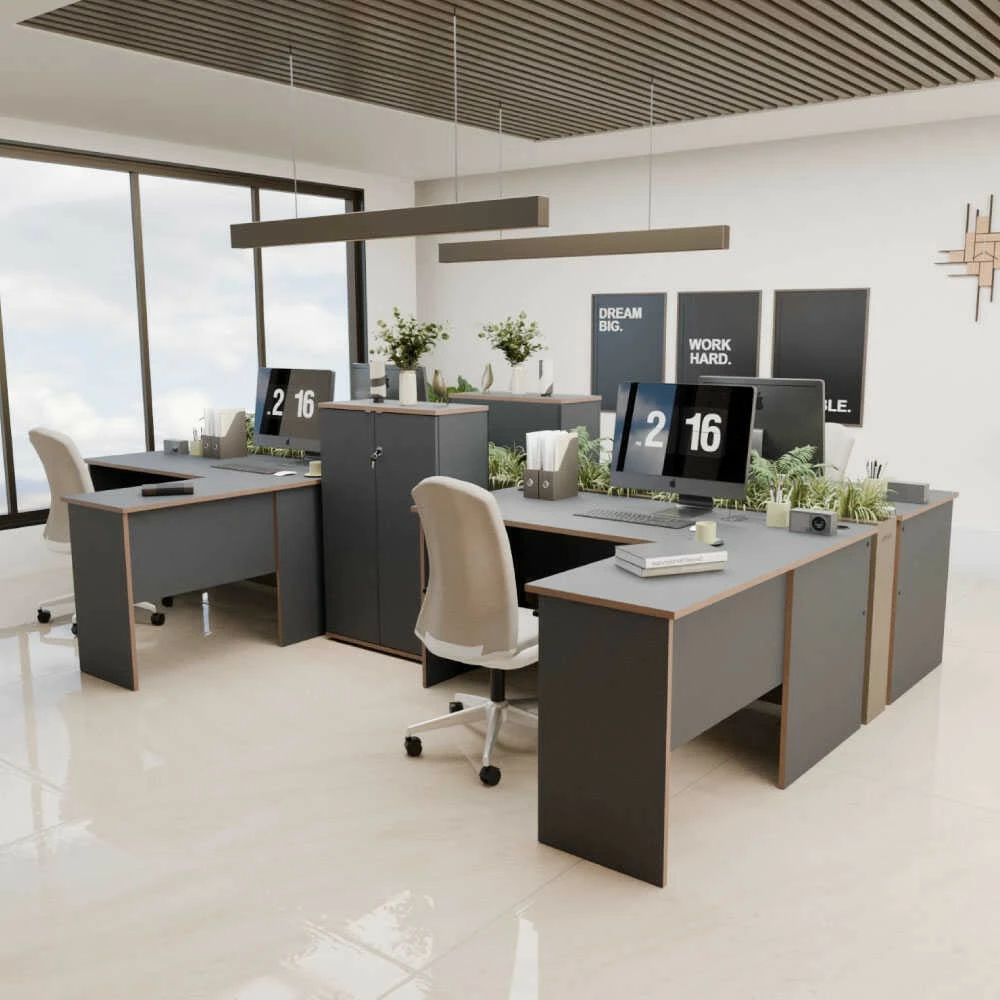 Tavolinë pune Hanah Home, Rms-320-Ax-1, anthracite dhe lis, 160x75x144cm