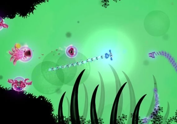 Glowfish EN Global