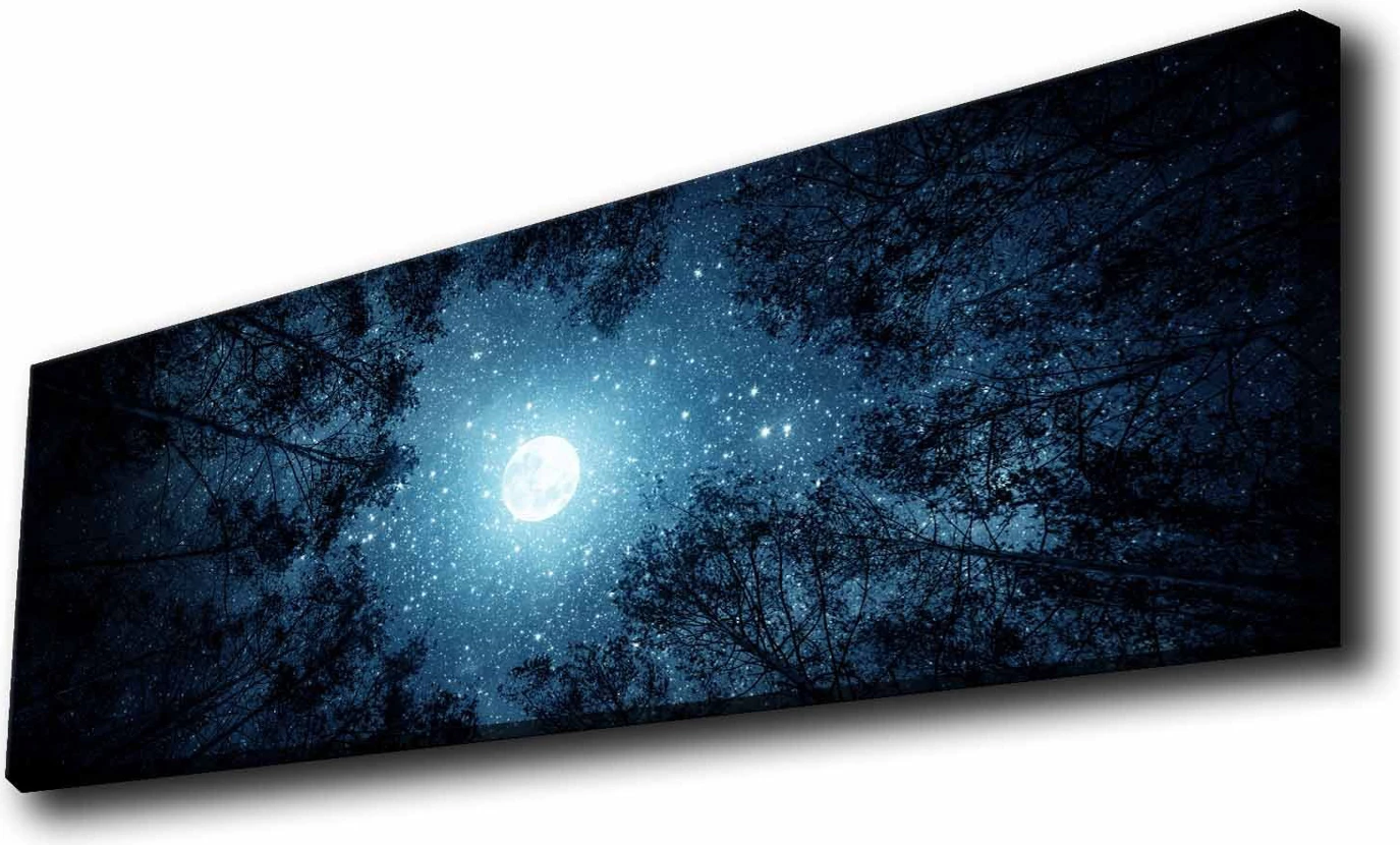Pikturë dekorative me drita LED, kanavacë, shumëngjyrëshe, 30x90cm, 3090KTLGDACT-011