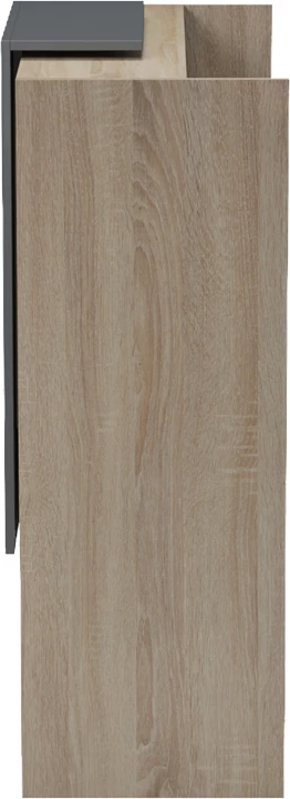 Banak pritjeje Zowel me LED, ngjyrë sonoma-antracit, 90x40x110cm