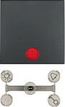 Kapak ndërprerësi Berker 1621 16 06, wippe kontrolli për B.1/B.3, antracit