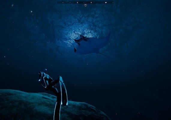 Beyond Blue Global