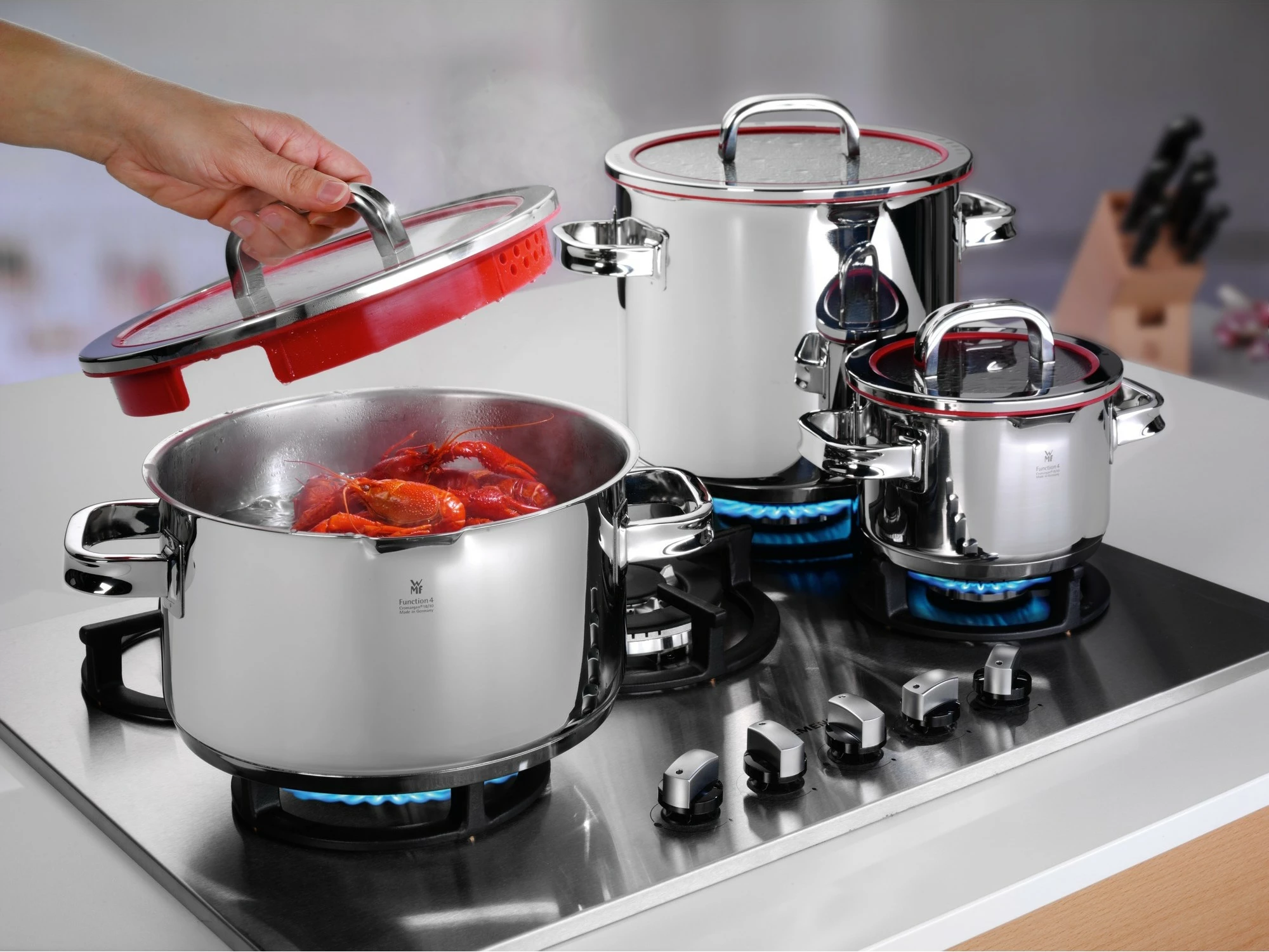 Set tenxheresh WMF Function 4, 4 pjesë, inox