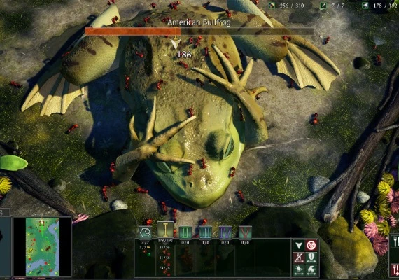 Empires of the Undergrowth EN/DE/RU/ZH/ES Global