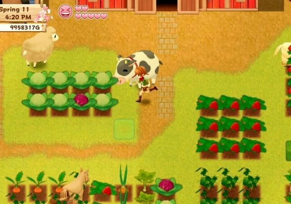 Harvest Moon: Light of Hope Special Edition EN Global