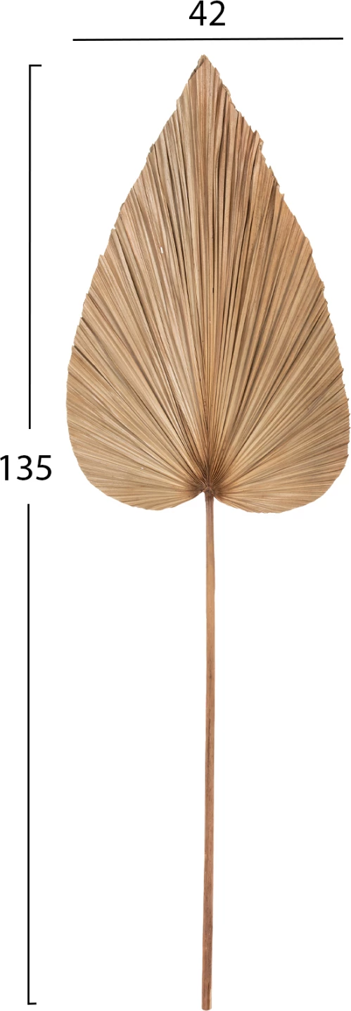 Dekor me gjethe palme të tharë, ngjyrë natyrale, FH7875, 42x135x3 cm