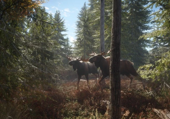 theHunter: Call of the Wild - Ultimate Hunting Bundle Global
