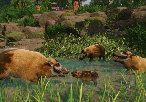 Planet Zoo - Tropical Pack DLC Global