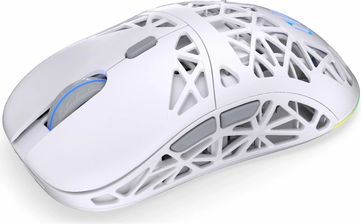 Maus wireless Endorfy LIV Plus Onyx, RGB, i bardhë