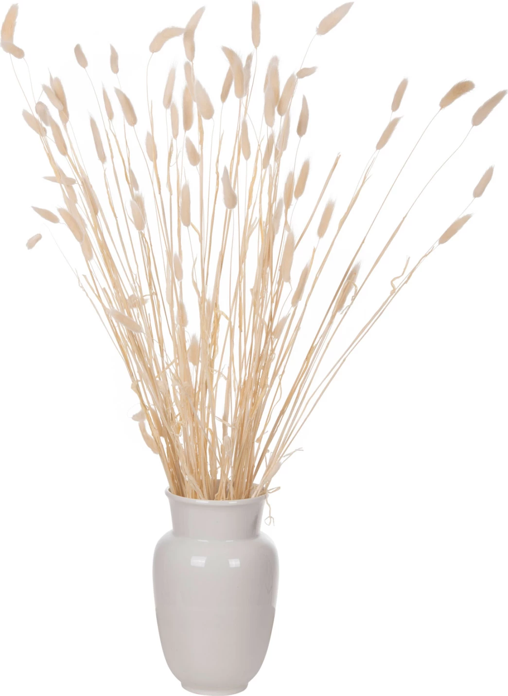 Buqetë dekorative e tharë, bisht lepuri, FH7959, krem, 76H cm