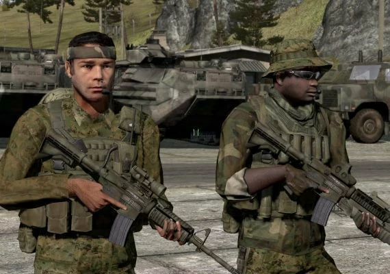 Arma 2 EN Global