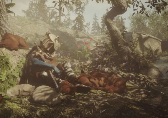 Soulframe - Closed Beta EN Global
