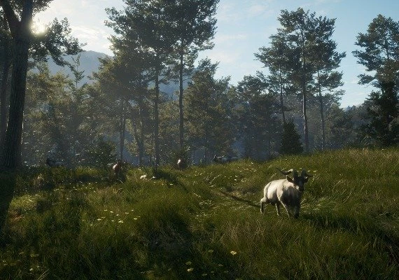 theHunter: Call of the Wild - Te Awaroa National Park DLC Global
