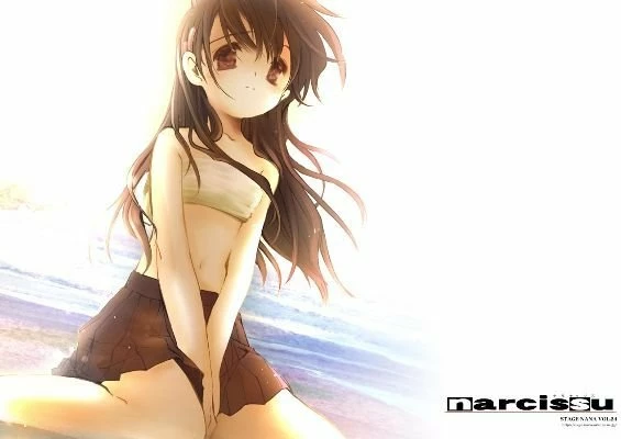 Narcissu 10th Anniversary Anthology Project EN/JA Global