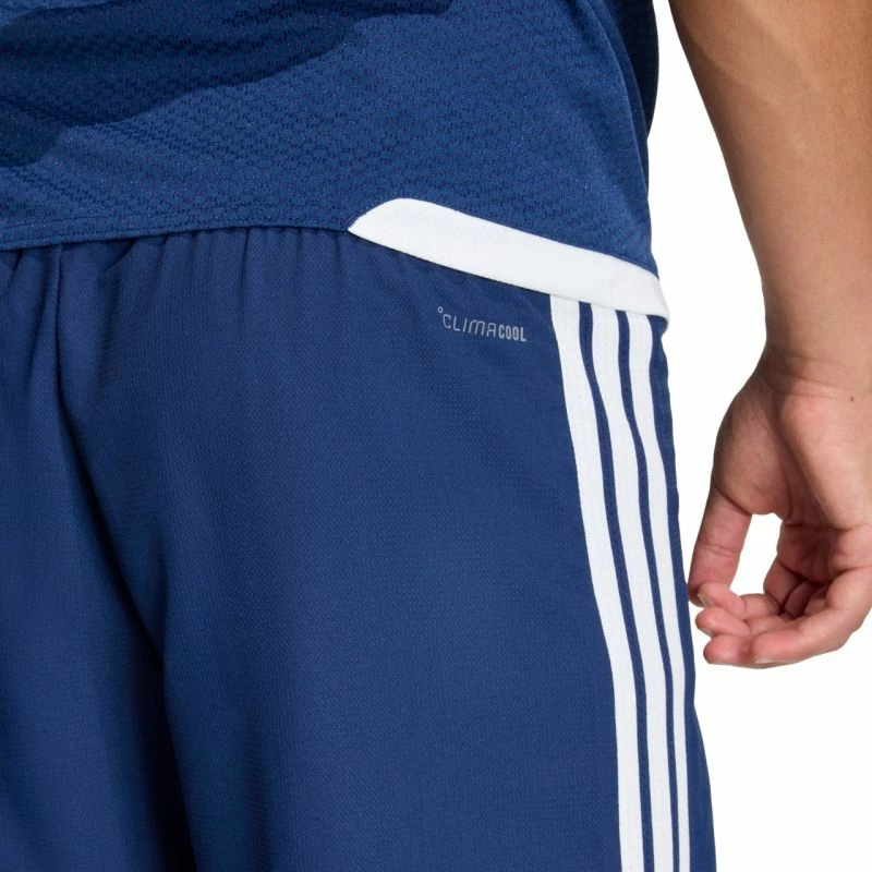 Shorce për meshkuj adidas, kaltër e bardhë [Madhësia: XL]