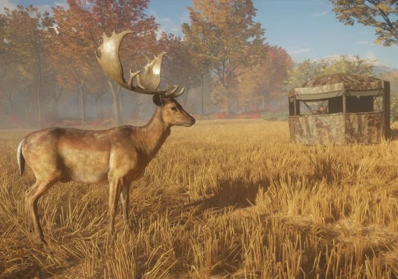 theHunter: Call of the Wild - Hunting Starter Pack Global