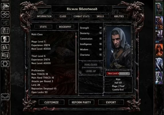 Baldur's Gate: Faces of Good and Evil DLC Global