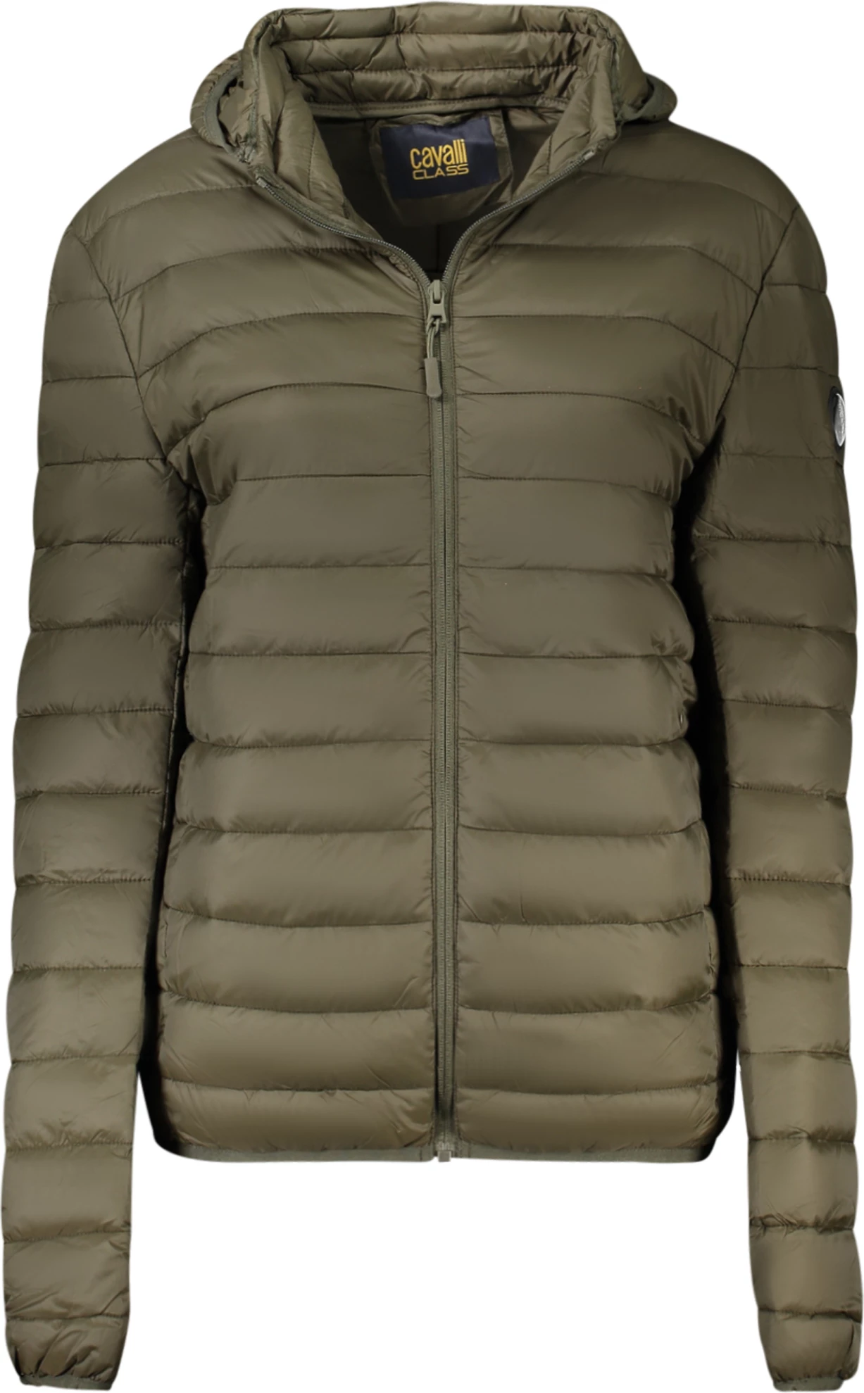 Jakne për meshkuj CAVALLI CLASS, e gjelbër