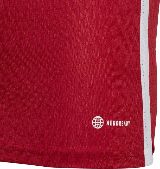 Fanellë futbolli për fëmijë adidas Tiro 23 Competition Match IC7457, e kuqe [Madhësia: 152 cm]