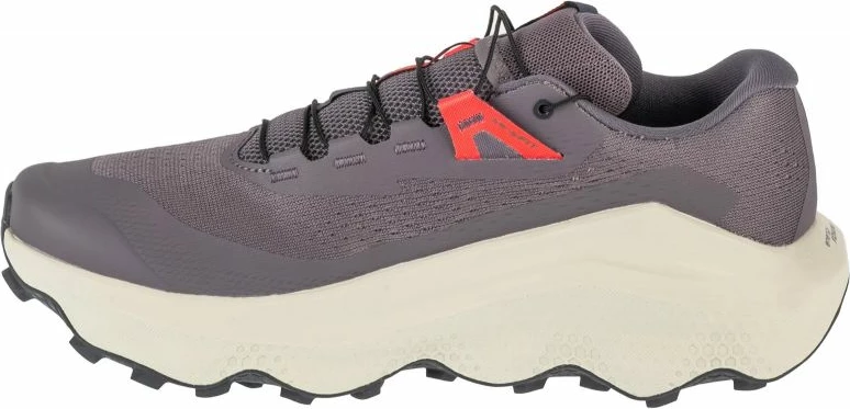 Atlete për meshkuj Salomon, gri