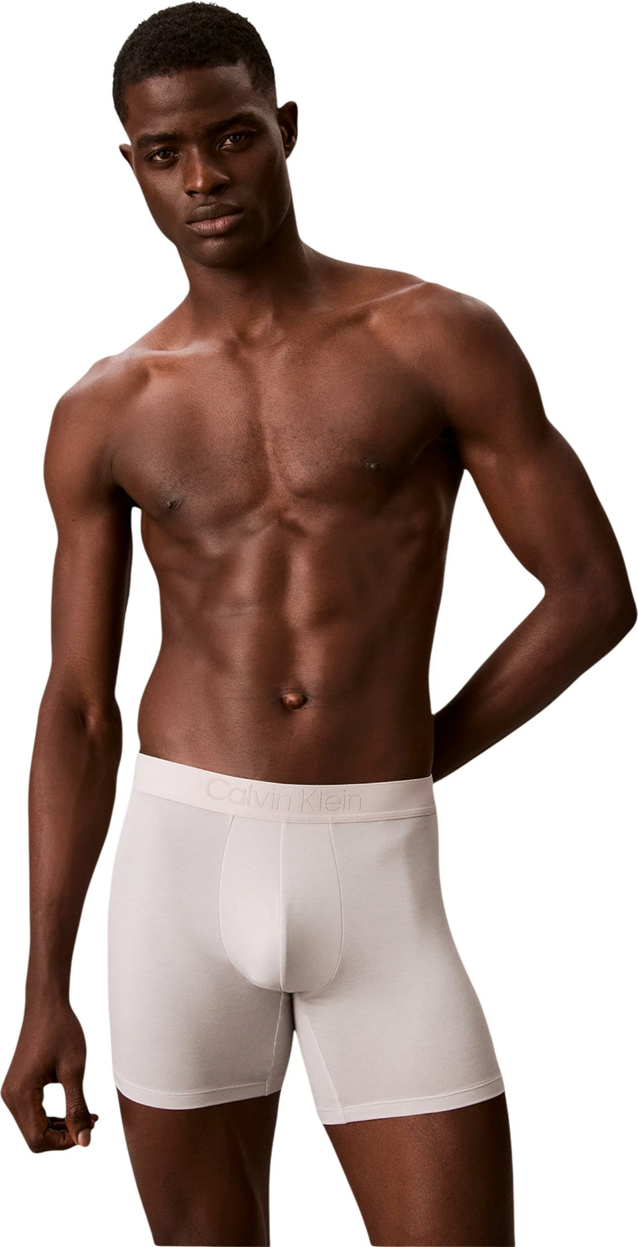 Të brendshme për meshkuj Calvin Klein Underwear 000NB3652A 3PK, gri e çelët [Madhësia: L]