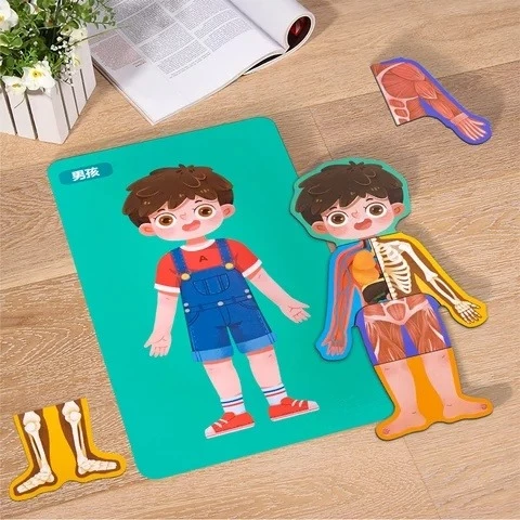 Puzzle Struktura trupore PSTD, djalë