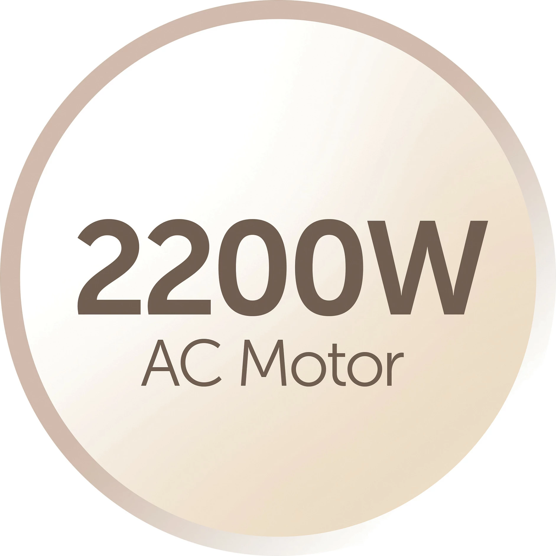 Tharëse flokësh Remington AC8002, 2200 W, motor AC, jonike, me difuzor, gri