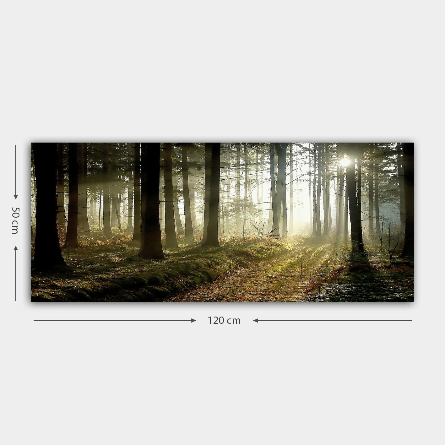 Pikturë dekorative në kanavacë, shumëngjyrëshe, Wallity YTY249153832_50120, 50x120cm