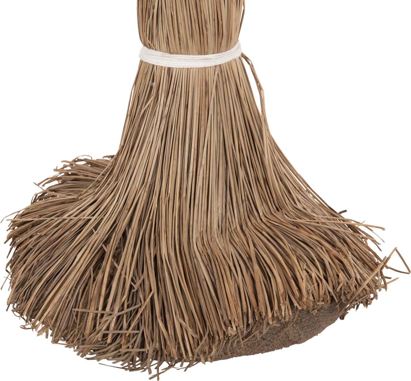 Pemë dekorative tropike, stil kokosi, FH4324, bar Mendong, 280Hcm