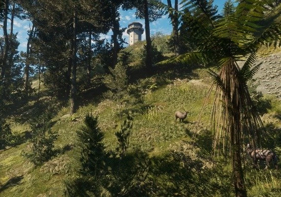 theHunter: Call of the Wild - Te Awaroa National Park DLC Global