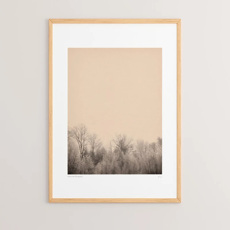 Pikturë murale në kornizë Quany, print digjital, shumëngjyrëshe, 33x1.5x48cm