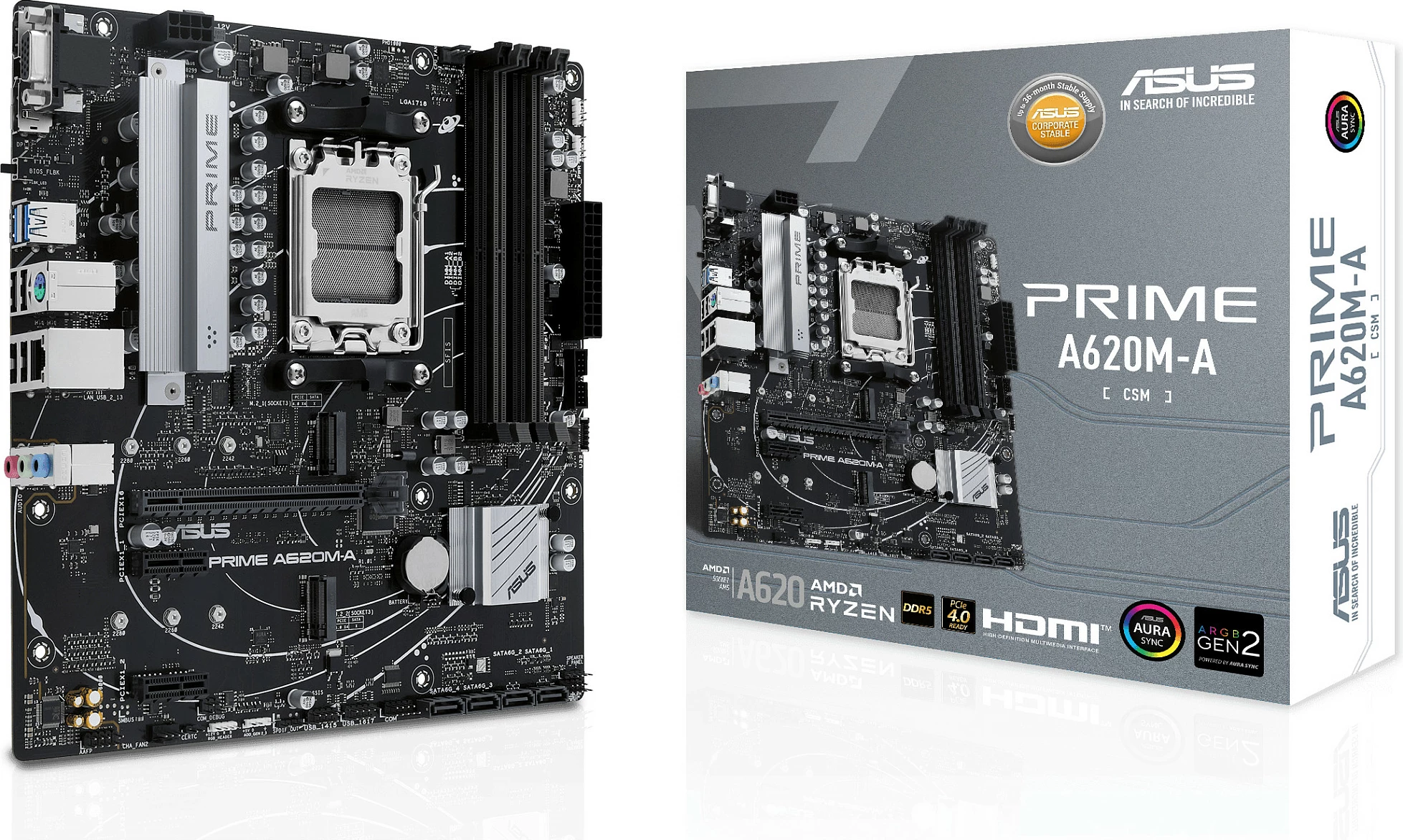 Pllakë amë ASUS PRIME A620M-A-CSM, AMD, Socket AM5, DDR5, micro ATX