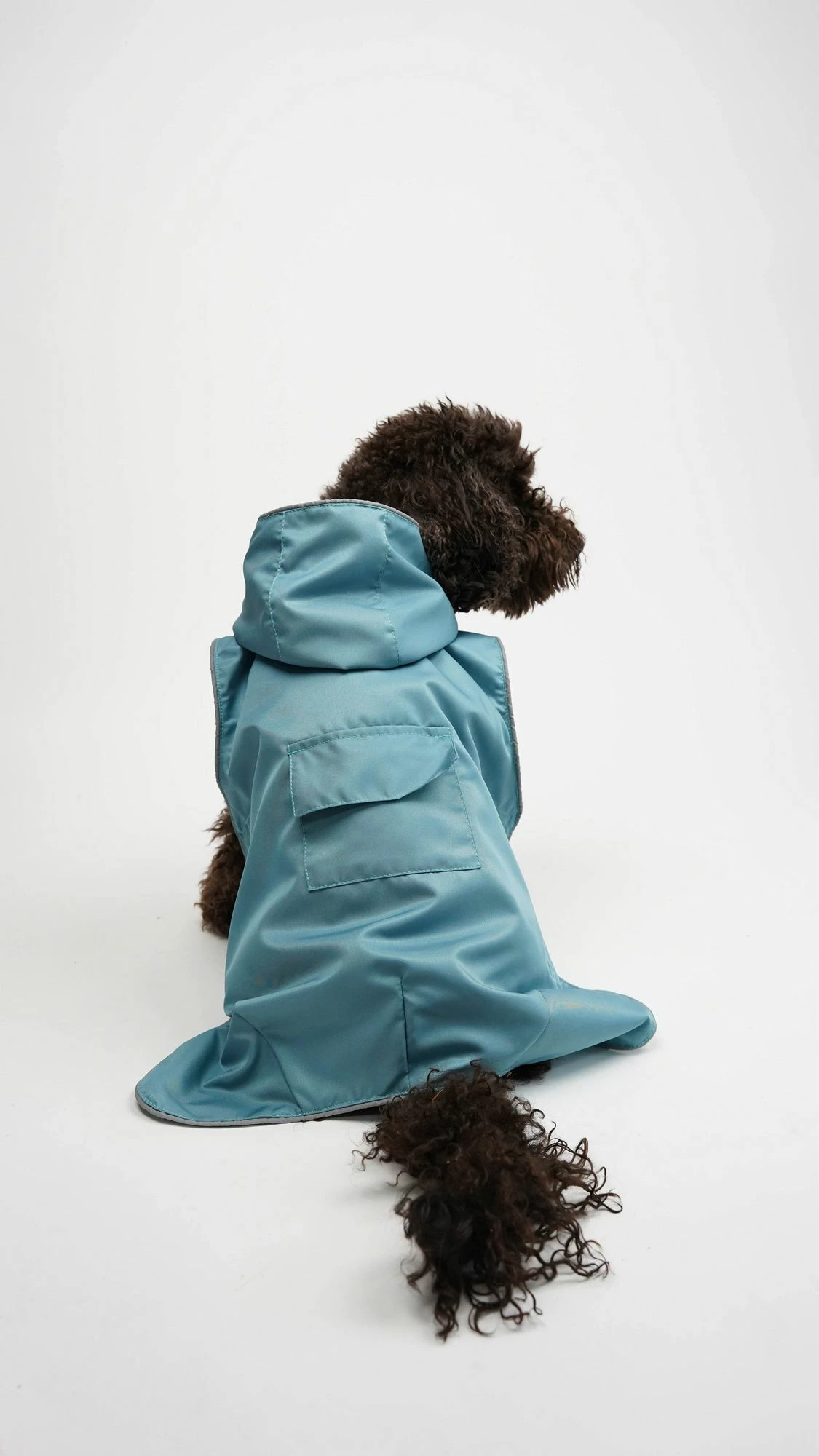 Bluze me kapuç për qen, Paws & Whiskers, pallto shiu, ngjyrë kaltër, XL