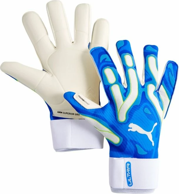 Dorëza portieri Puma për meshkuj, të kaltra