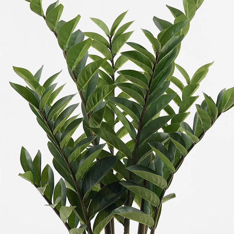 Bimë dekorative Zamia Inart, jeshile, 52x88cm
