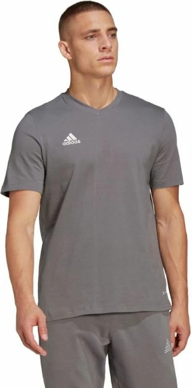 Maicë për Meshkuj adidas Entrada 22 Tee, Gri [Madhësia: XL]