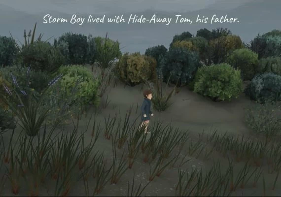 Storm Boy EN/DE/FR/RU/ES Global