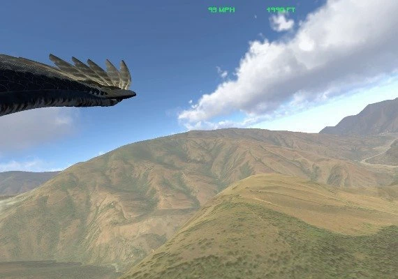 Aquila Bird Flight Simulator EN Global