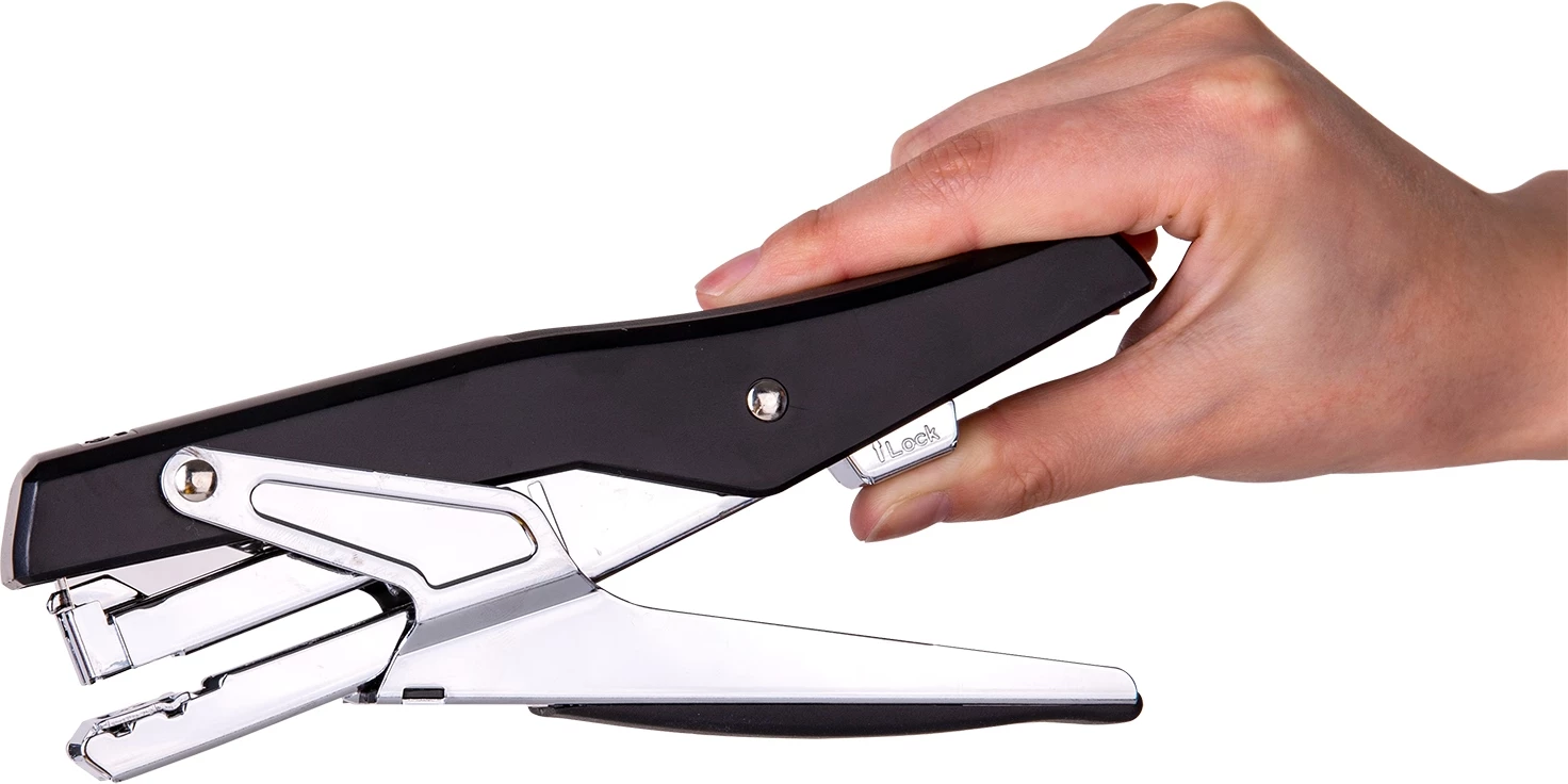 DELI HEFT BUTTERFLY 30FL 1/12 0329