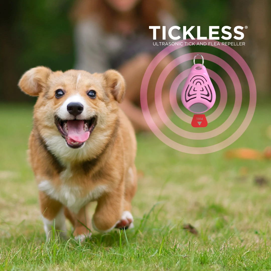 Tickless PET - Pink