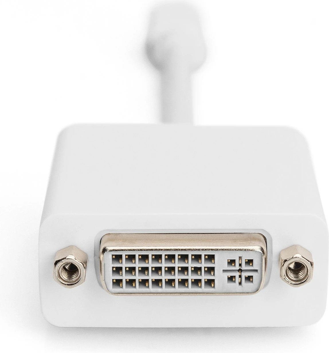 Adapter DisplayPort Digitus Mini DisplayPort në DVI-D, 0.15m, i bardhë