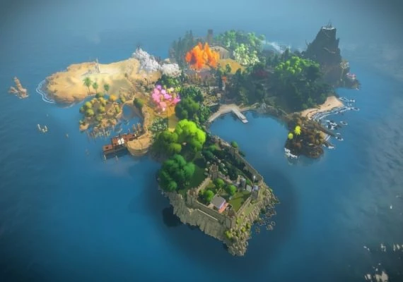 The Witness Global