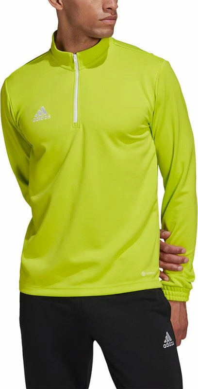 Duks për meshkuj adidas, jeshil [Madhësia: M]