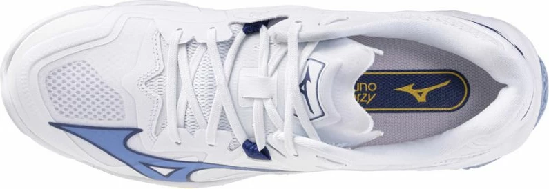 Atlete për meshkuj Mizuno, për volejboll