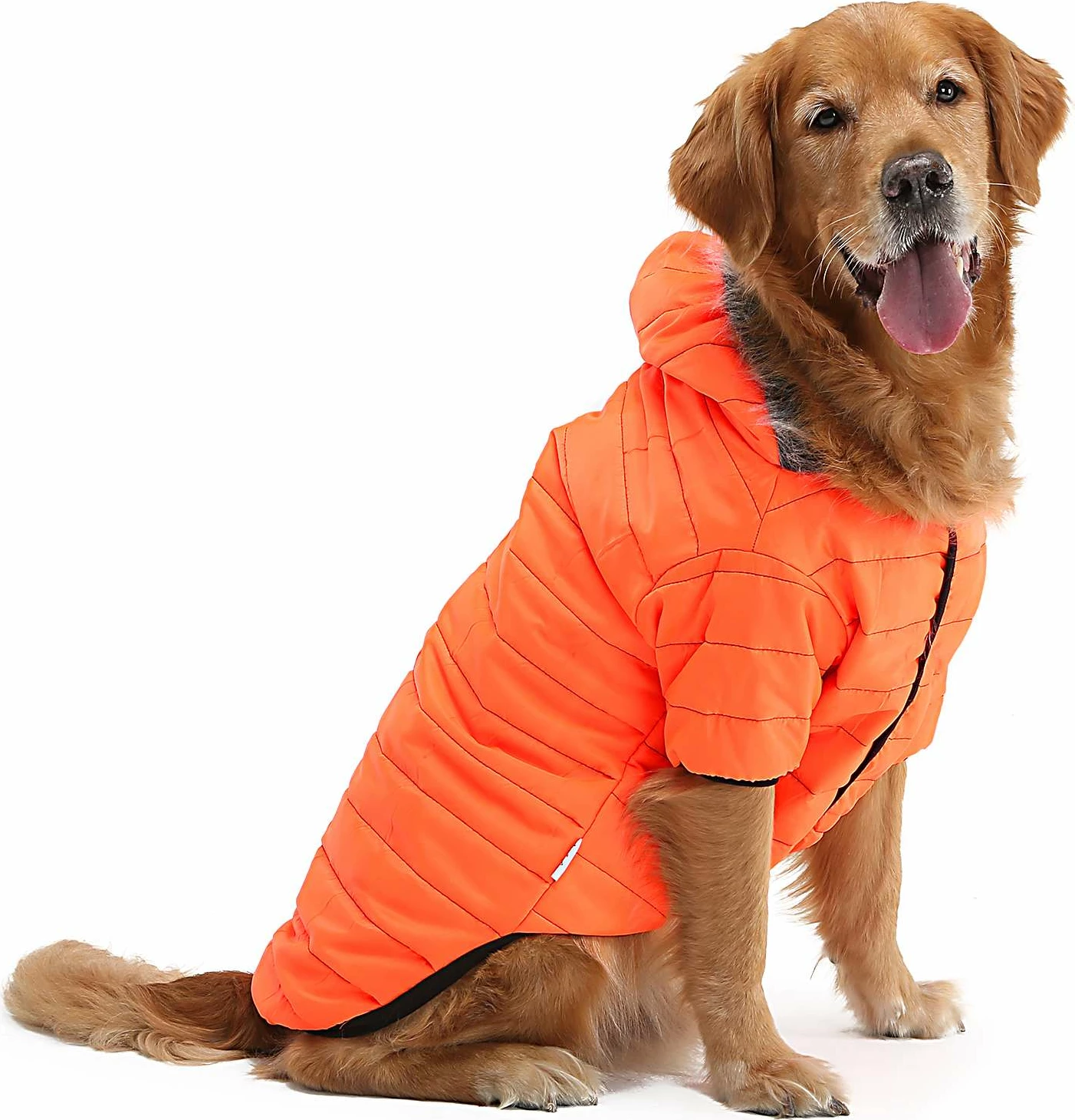 Bluzë me kapuç për qen, ngjyrë portokalli, Paws & Whiskers, madhësi 7XL