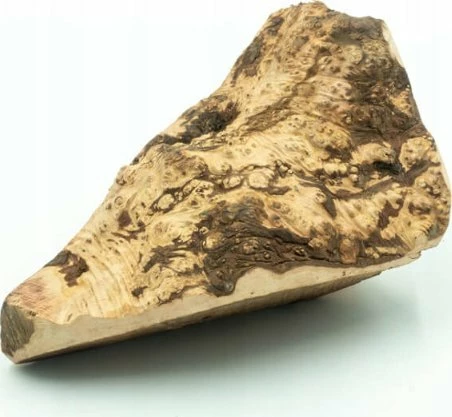 Lodër përtypëse prej rrënjë shqope 4DOGS, size M (për qen 5–10 kg), 151–300 g