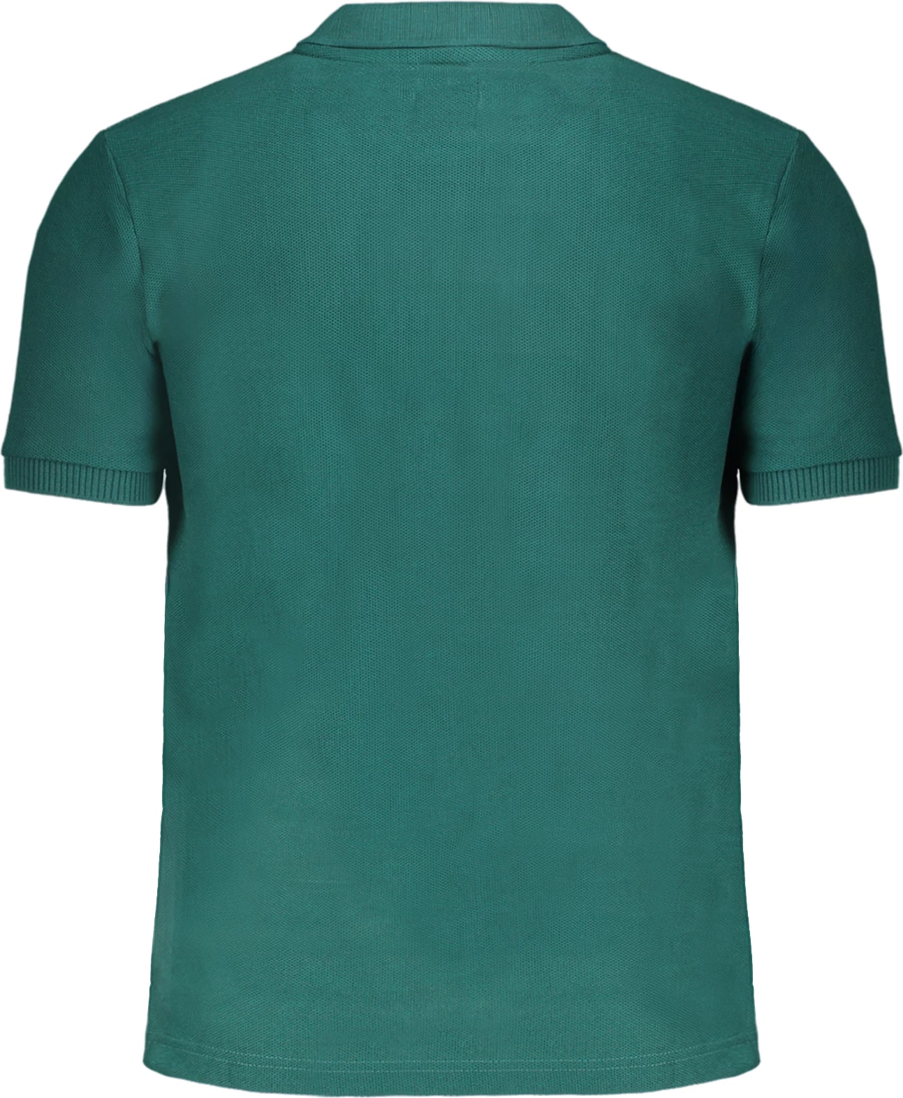 Polo për meshkuj GIAN MARCO VENTURI, green