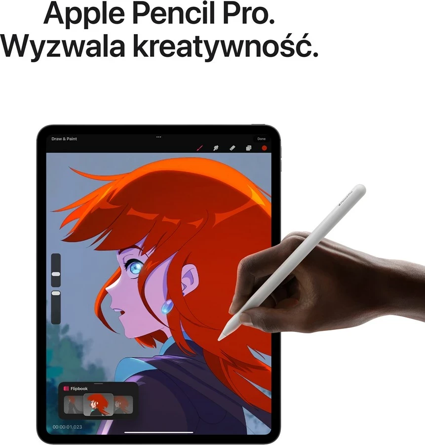 Pamja 6