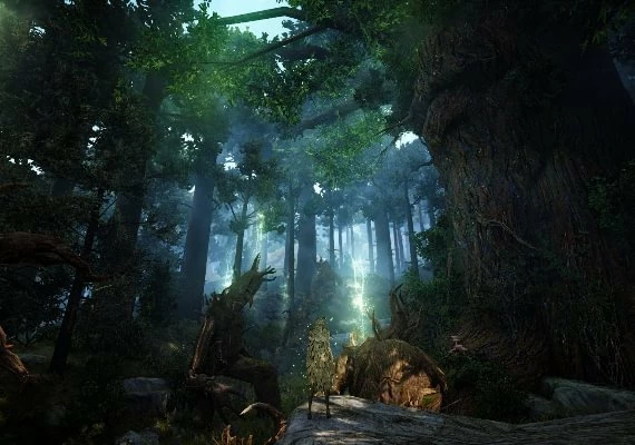 Black Desert - Special Gift Bundle 2 DLC EN Global