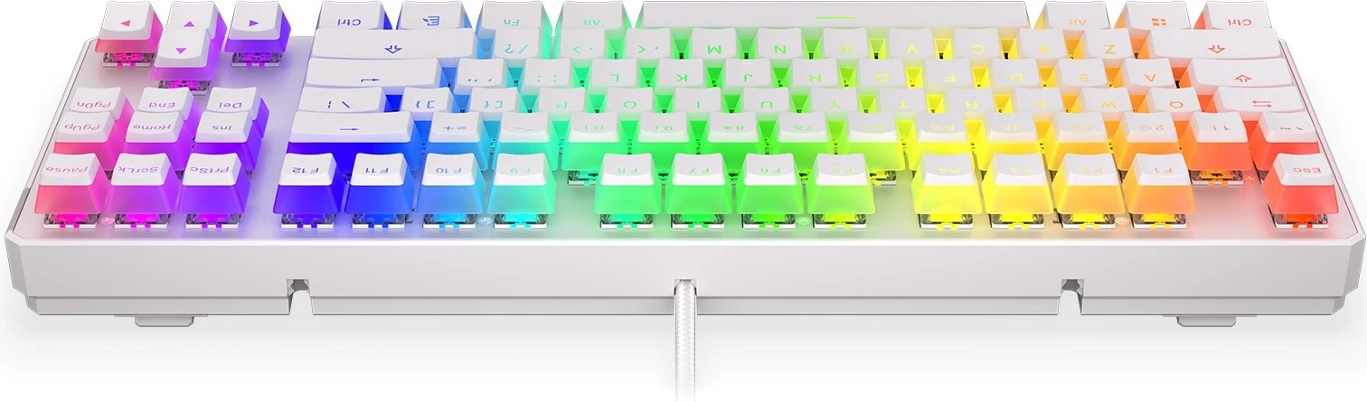 Tastierë gaming, Endorfy, RGB, TKL, e bardhë 